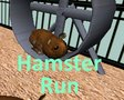 Hamster Run