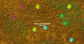 Battle Arena