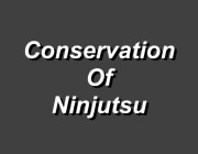 Conservation of Ninjutsu