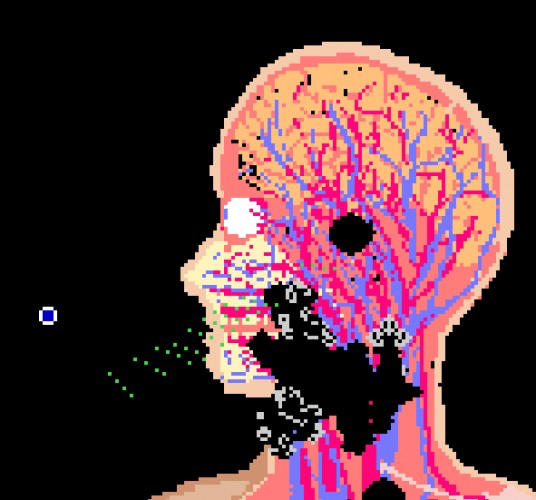 PixelSurgeon
