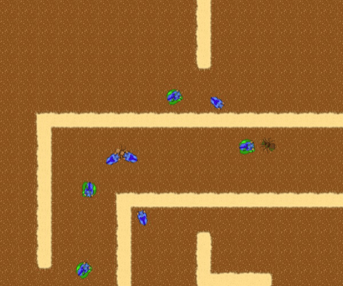 Ant Quest!