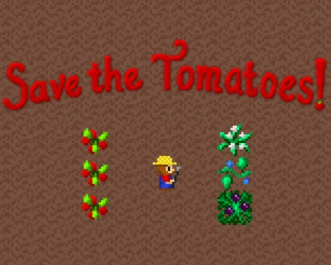 Save the Tomatoes!
