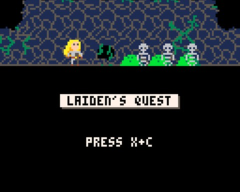 Leiden's Quest