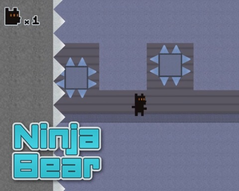 Ninja Bear