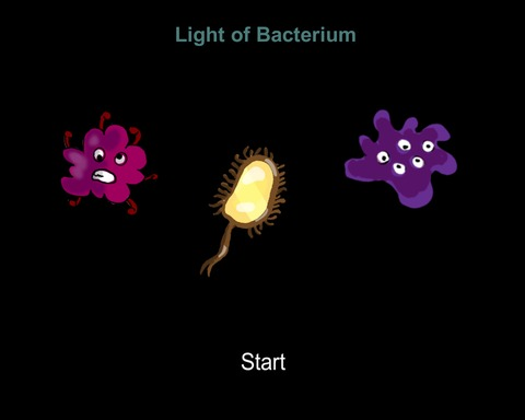 Light of Bacterium