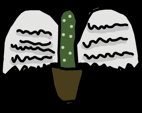 The Legend of Cactus