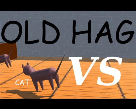 Old Hag VS Cat