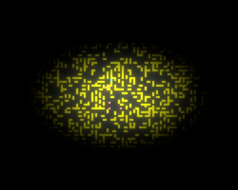 Lab