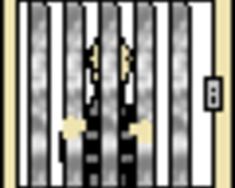 Crowded Prison