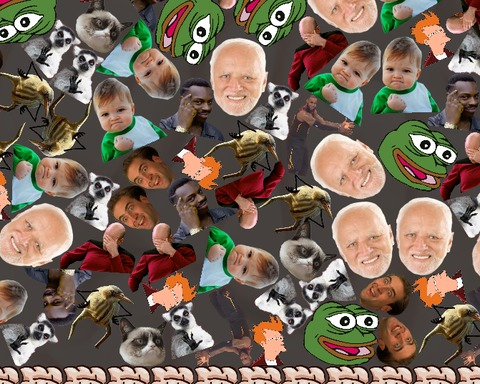 NoBrainNoPain