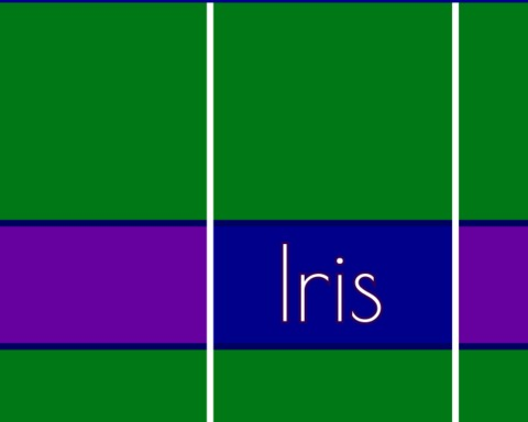 Iris