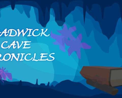 Chadwick Cave Chronicles