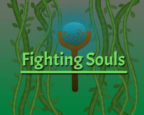 Fighting Souls