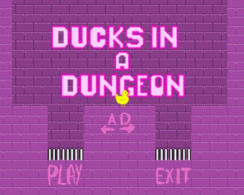 Ducks in a Dungeon