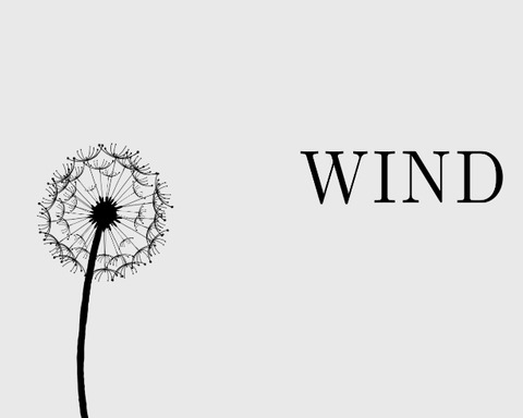 Wind