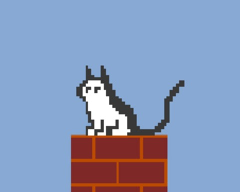 Sacrifices in the Cat Yard