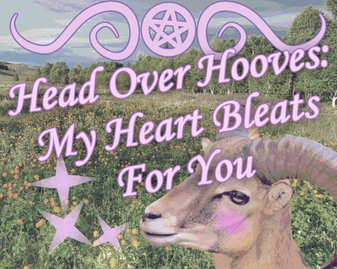 Head Over Hooves: My Heart Bleats For You