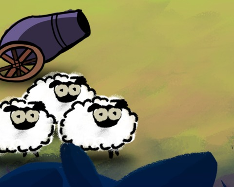 Sheep attack
