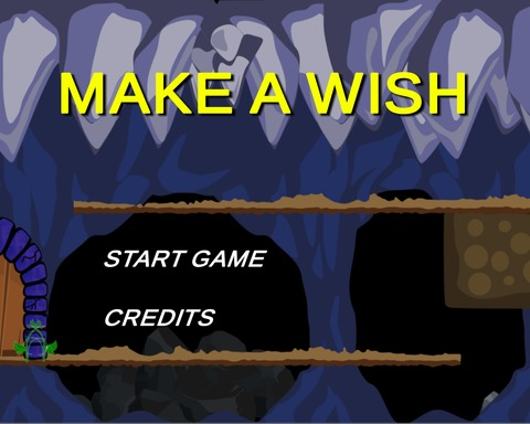 Make a Wish