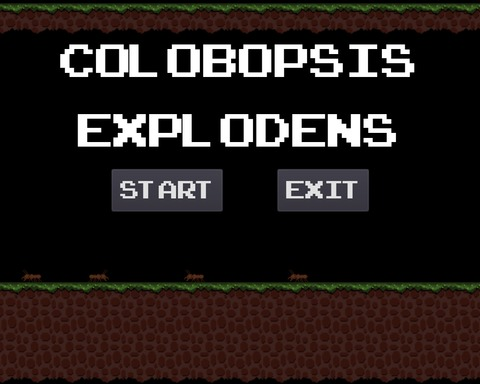 Colobopsis Explodens