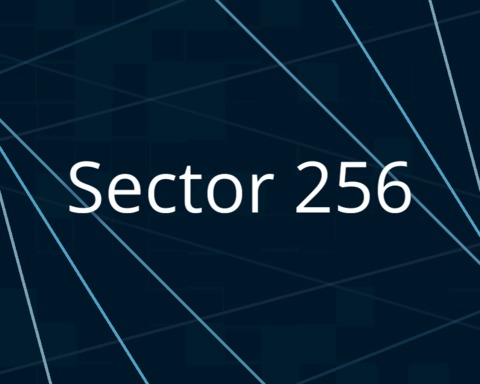 Sector 256