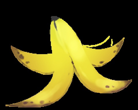 Guardian