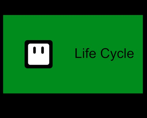 Life Cycle