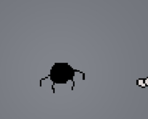 Spider Arena