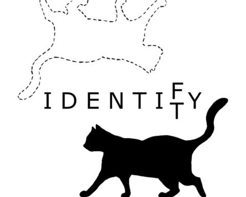 I D E N T I F T Y