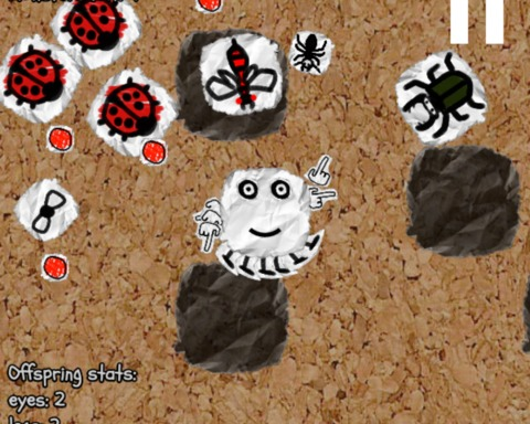 Paper, Cork and Bugs