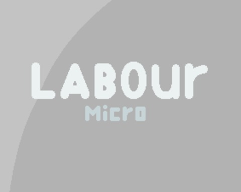 Labour Micro