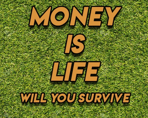 Money Is Life