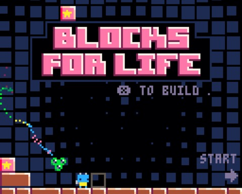 Blocks for Life