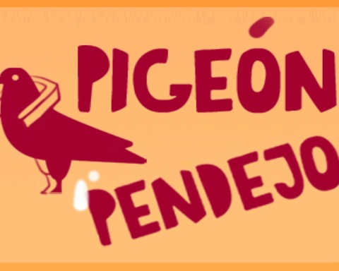 Pigeón Pendejo