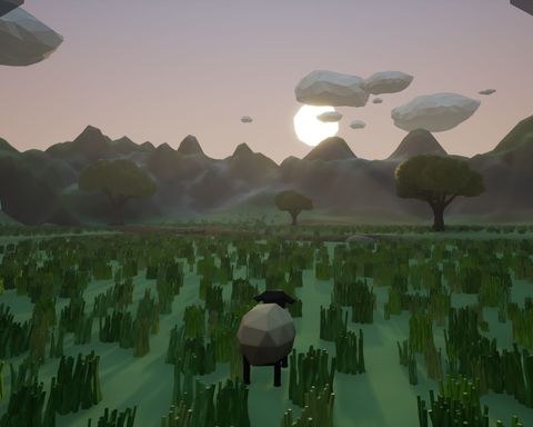 Feed My Sheep