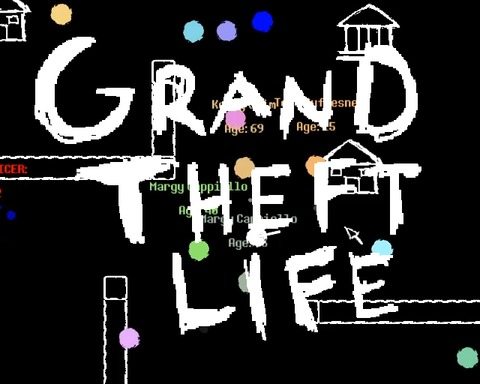 Grand Theft Life