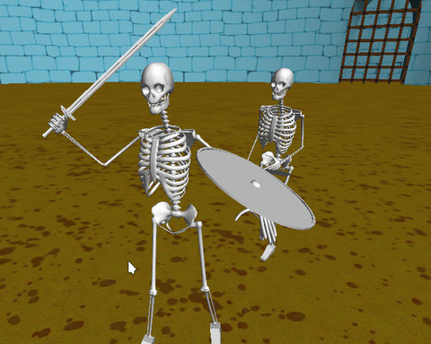 Skeleton Arena