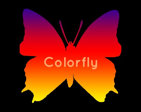 Colorfly