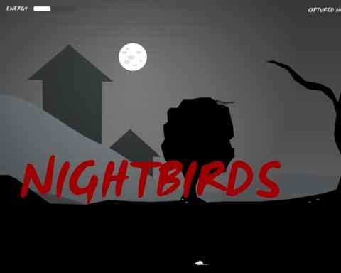 Nightbirds