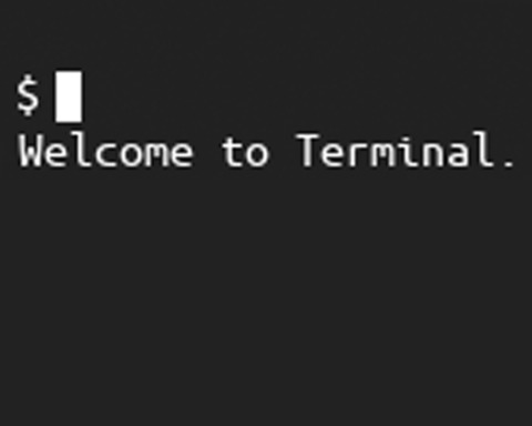 Terminal