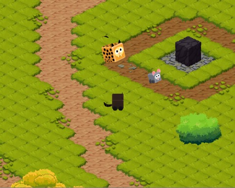 RacoonVenture
