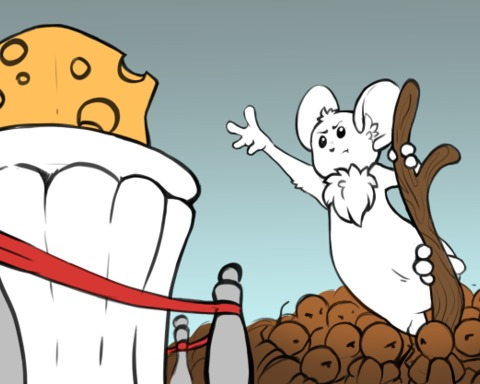 Cheese Finder