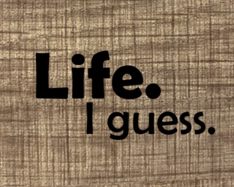 Life. I guess.
