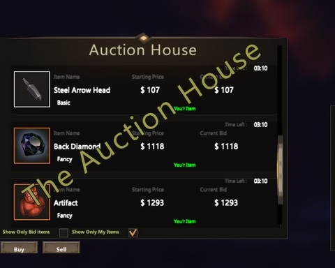 The Auction House