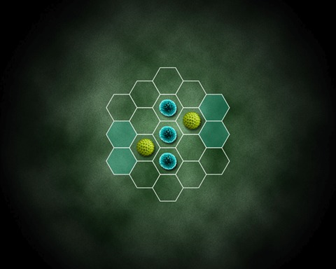 Micro-Versus