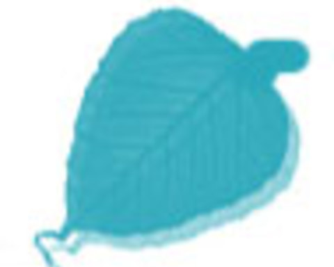 Seed