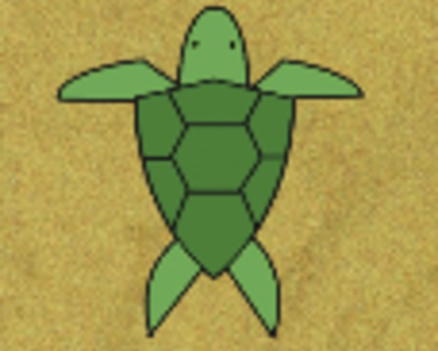 Mae's Turtle Beach