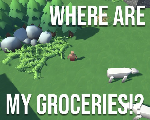 Where are my groceries!?