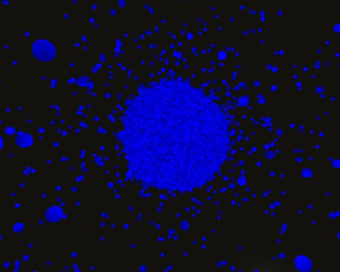 Space Anomalies!