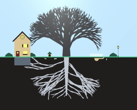 Cultivation